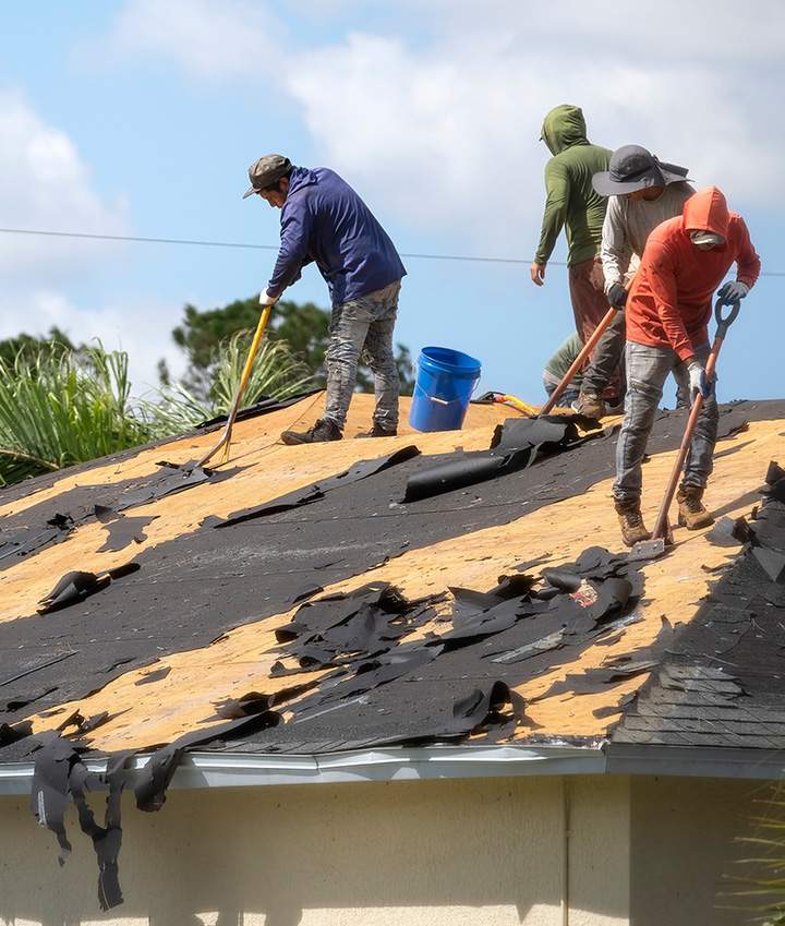 Roof Replacement